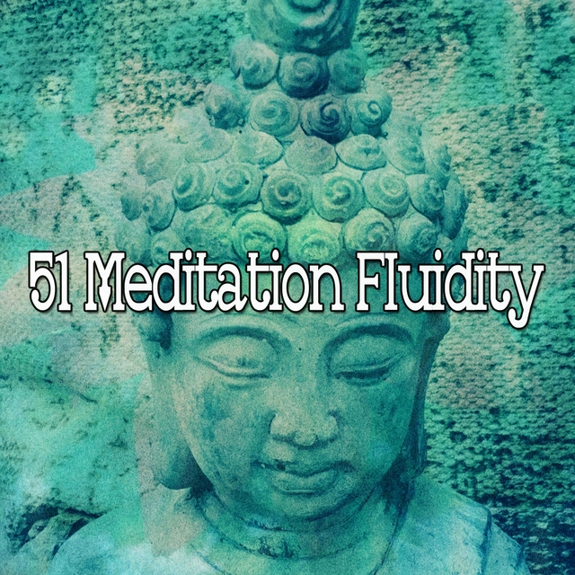 51 Meditation Fluidity