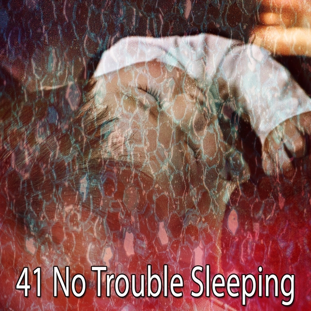 Couverture de 41 No Trouble Sleeping