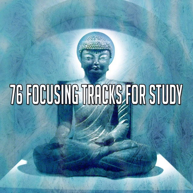 76 Focusing Tracks for Study