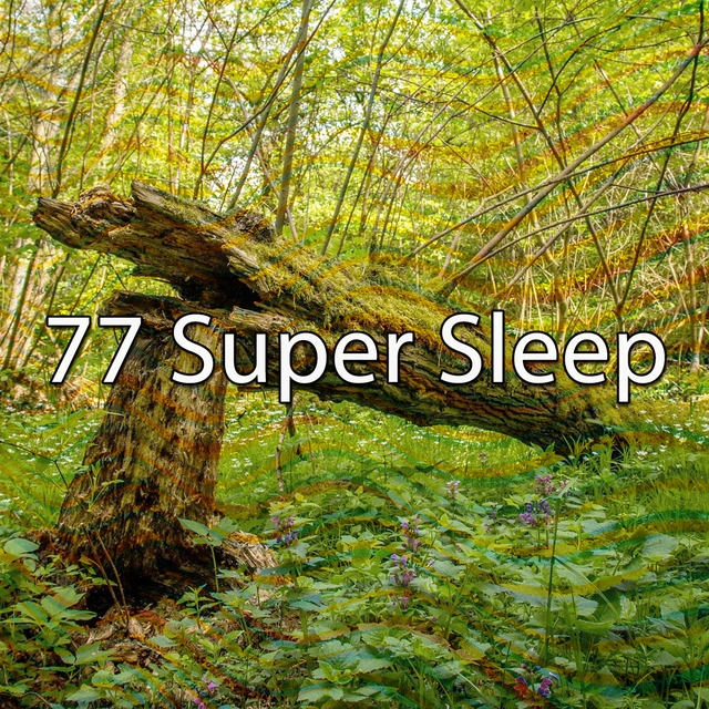 Couverture de 77 Super Sleep