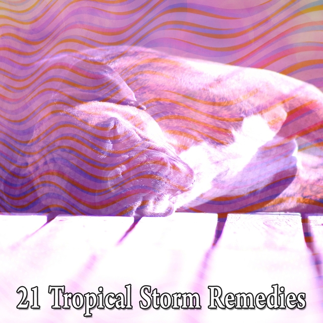 Couverture de 21 Tropical Storm Remedies