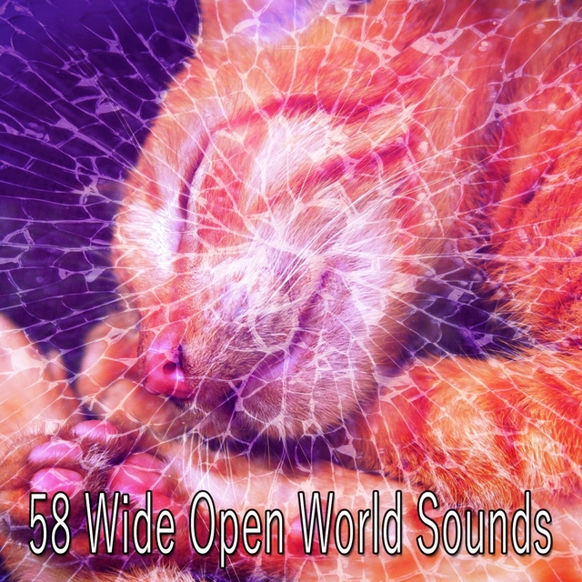 58 Wide Open World Sounds