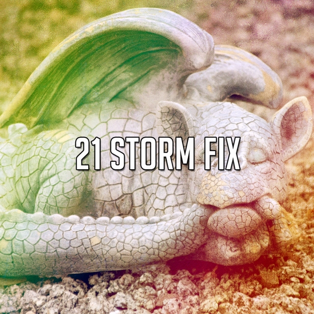 21 Storm Fix