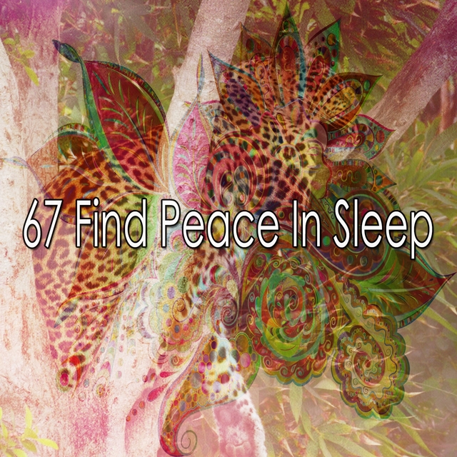 67 Find Peace in Sleep