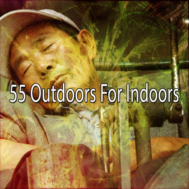 55 Outdoors for Indoors