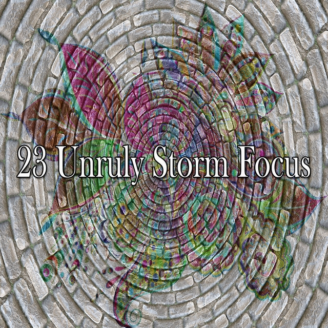 23 Unruly Storm Focus