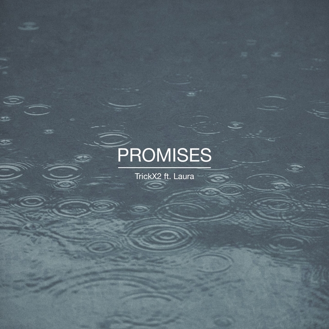 Couverture de Promises