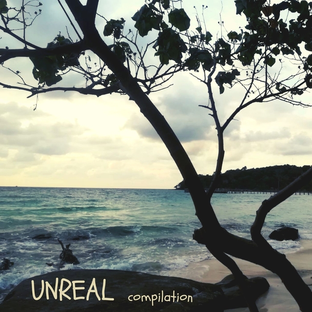 Couverture de Unreal