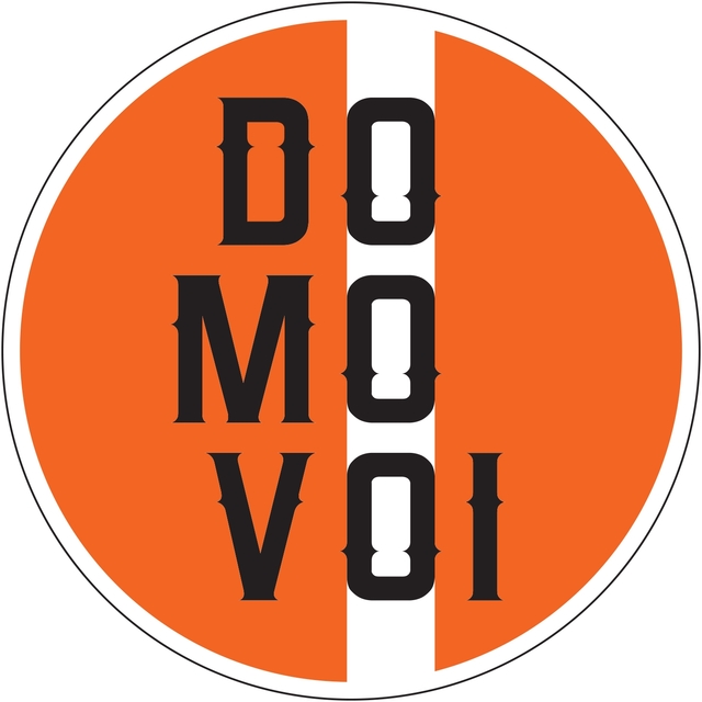 Couverture de Domovoi