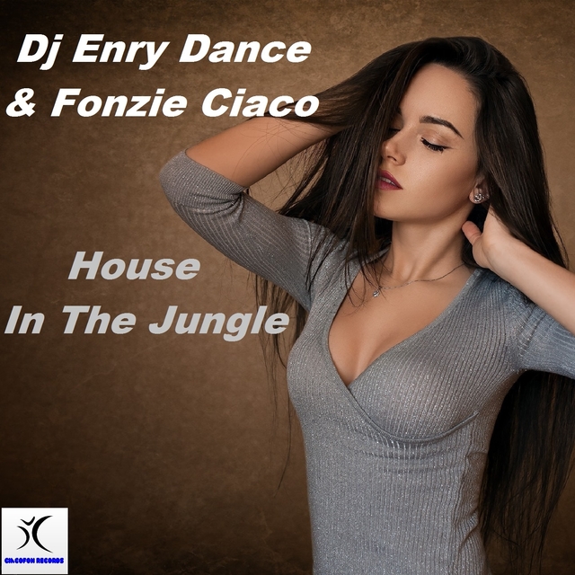 Couverture de House In The Jungle