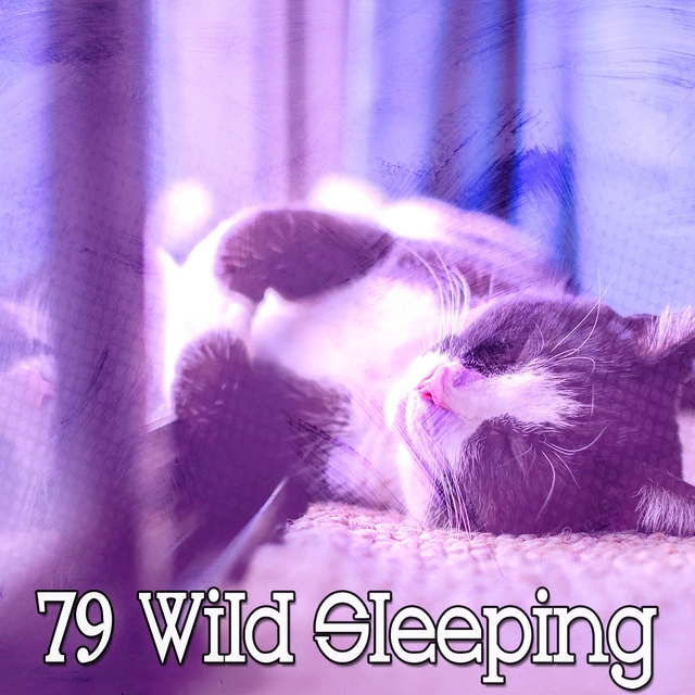 Couverture de 79 Wild Sleeping