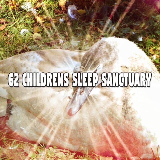 Couverture de 62 Childrens Sleep Sanctuary