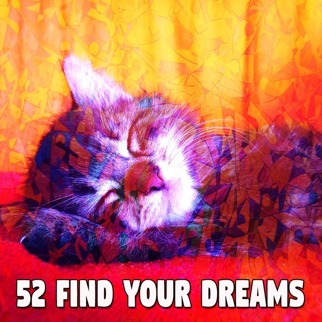 52 Find Your Dreams