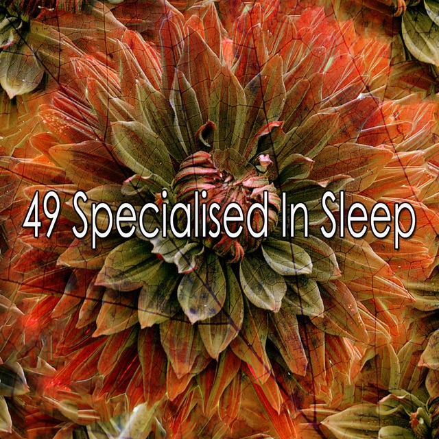 Couverture de 49 Specialised in Sleep