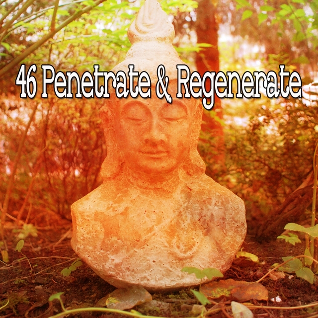 Couverture de 46 Penetrate & Regenerate