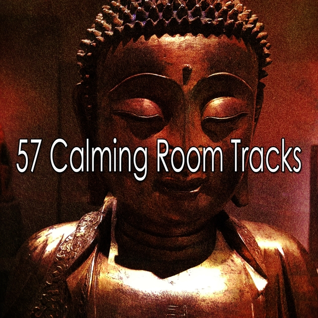 Couverture de 57 Calming Room Tracks