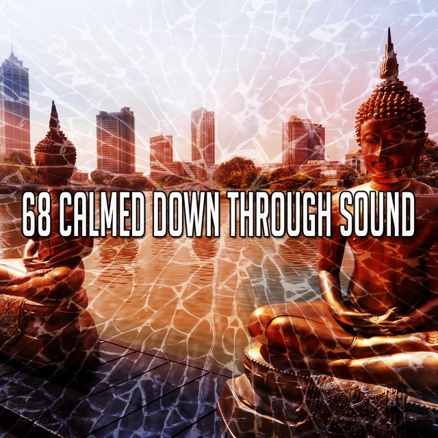 68 Calmed Down Through Sound