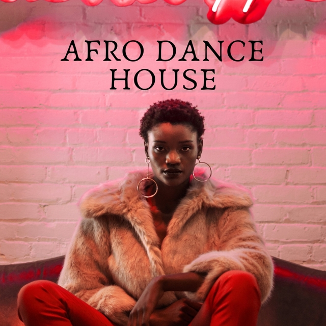 Couverture de AFRO DANCE HOUSE