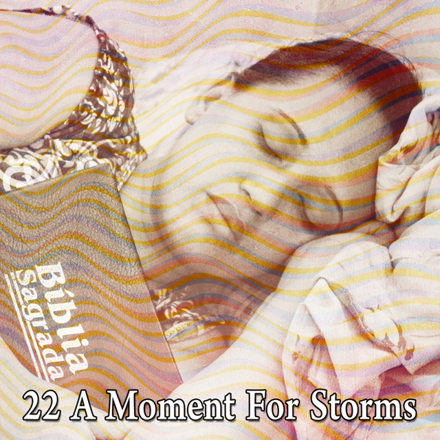 Couverture de 22 A Moment for Storms