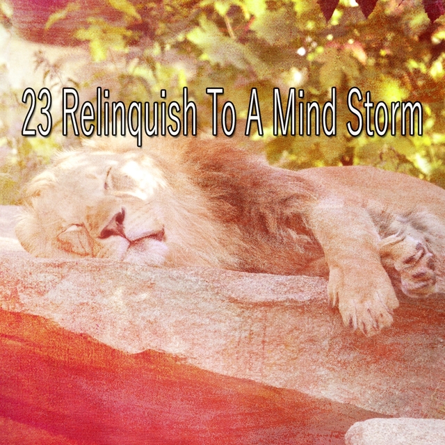 Couverture de 23 Relinquish to a Mind Storm