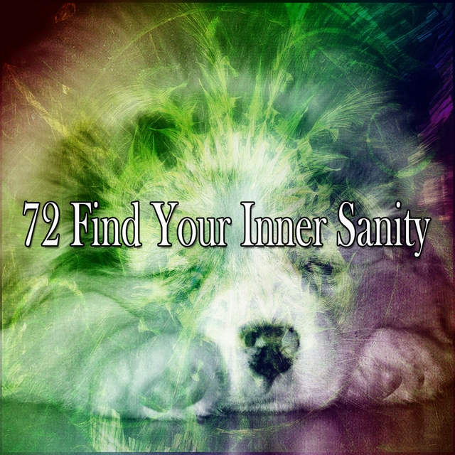 Couverture de 72 Find Your Inner Sanity