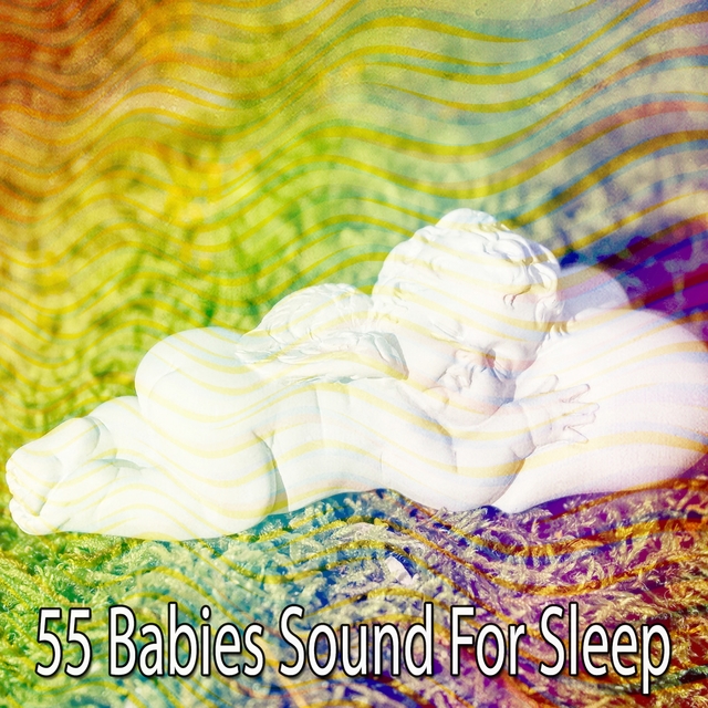 Couverture de 55 Babies Sound for Sleep