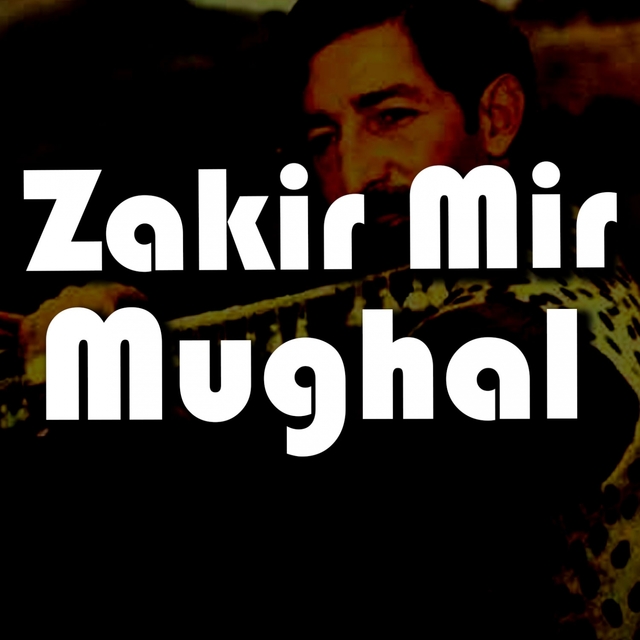 Zakir Mir Mughal