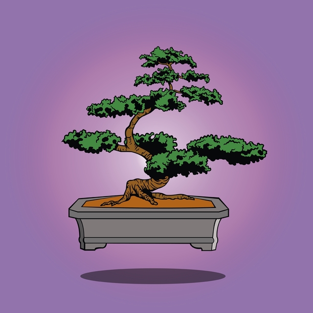 Bonsai