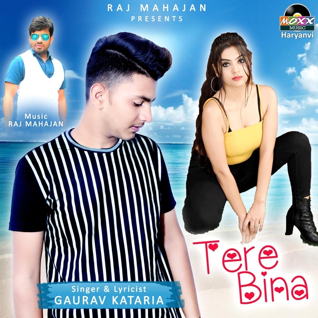 Couverture de Tere Bina