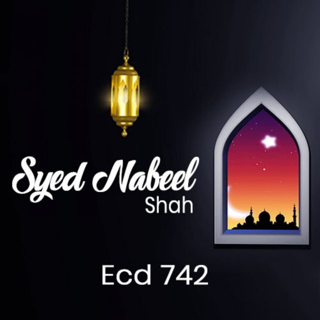 Couverture de Syed Nabeel Shah, Vol. 742