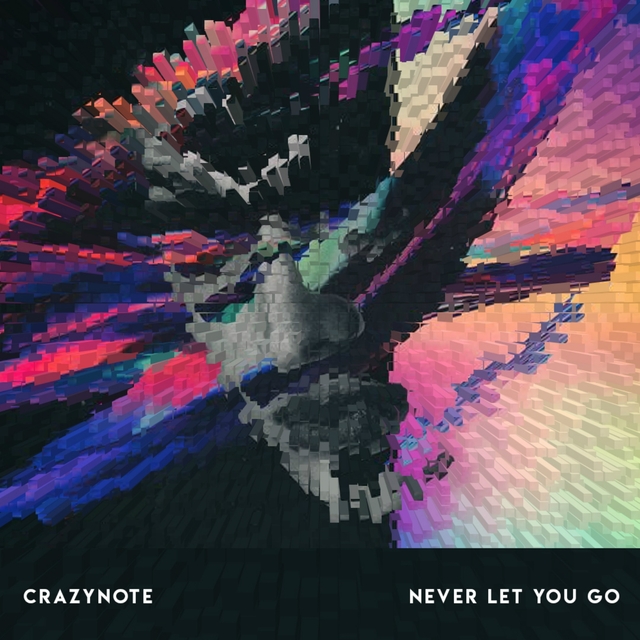 Couverture de Never Let You Go