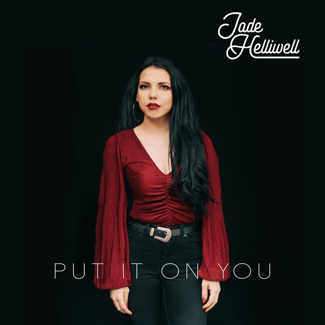 Couverture de Put It On You