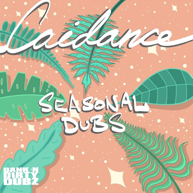 Couverture de Seasonal Dubs