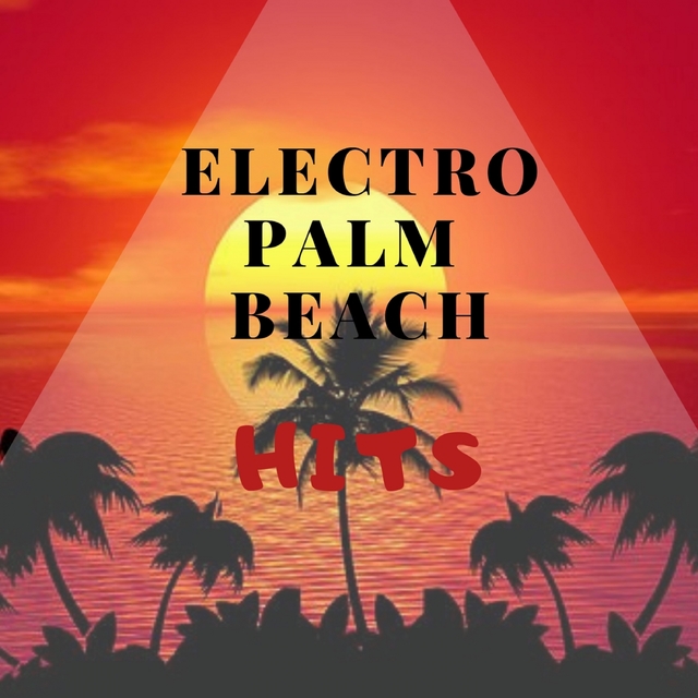 Couverture de ELECTRO PALM BEACH HITS