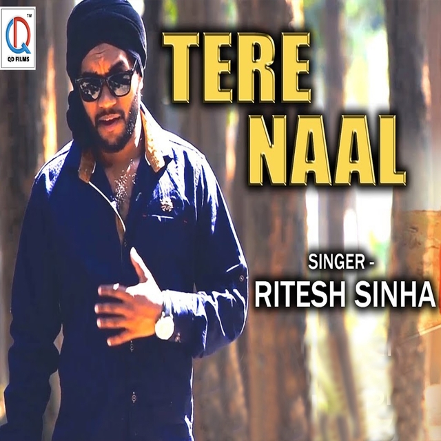 Couverture de Tere Naal