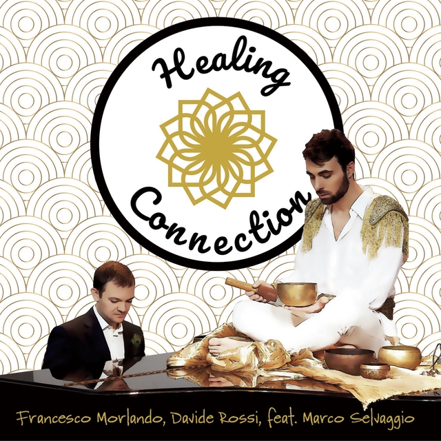 Couverture de Healing Connection