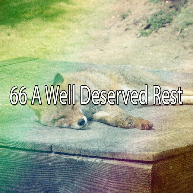 66 A Well Deserved Rest