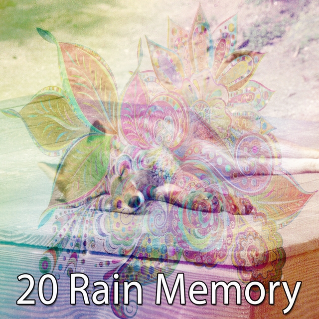 Couverture de 20 Rain Memory