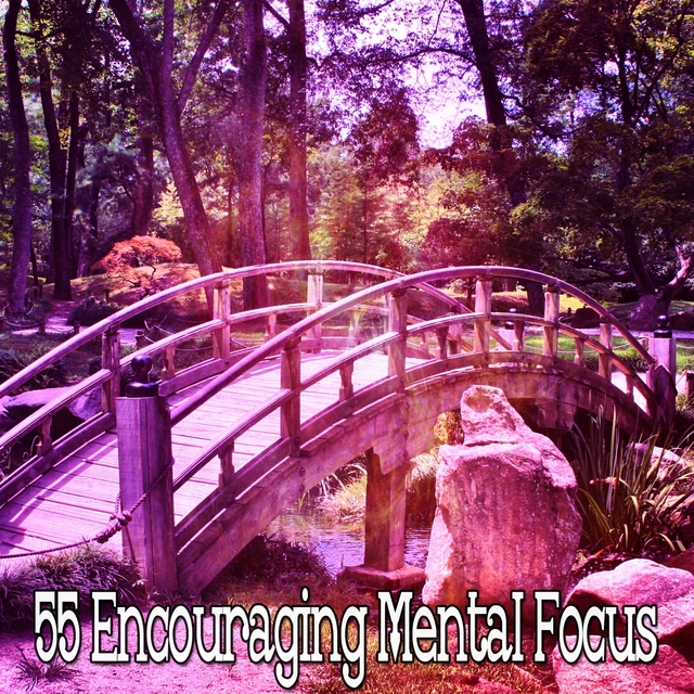 Couverture de 55 Encouraging Mental Focus