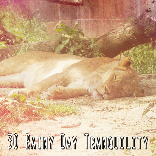 Couverture de 30 Rainy Day Tranquility