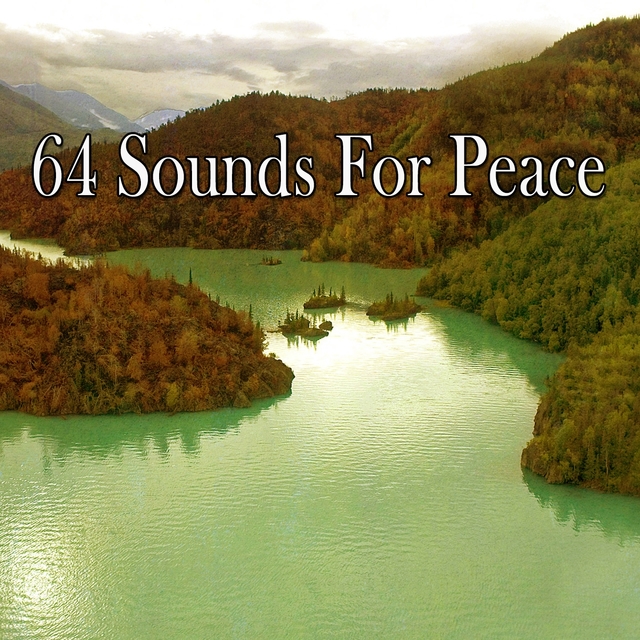 Couverture de 64 Sounds for Peace