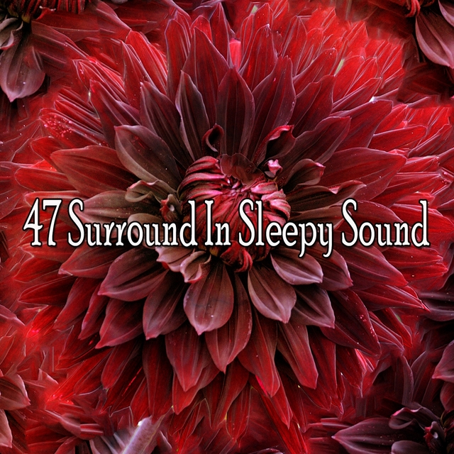 47 Surround in Sleepy Sound