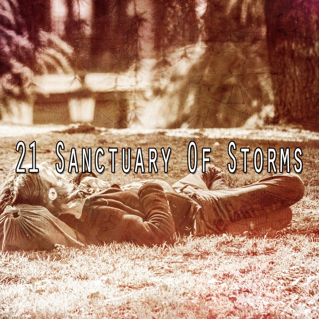 21 Sanctuary of Storms