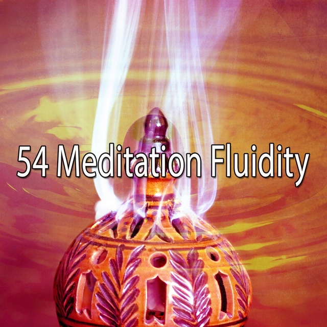 54 Meditation Fluidity