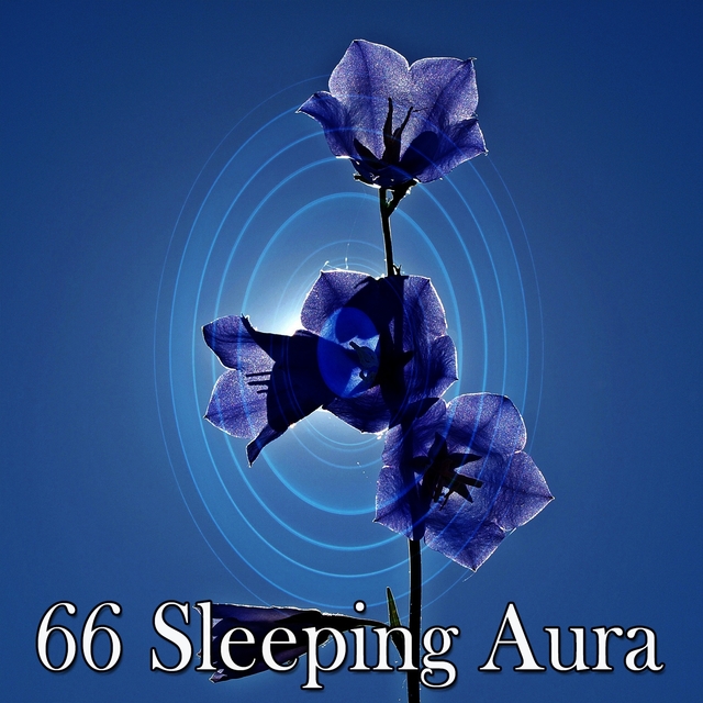 66 Sleeping Aura