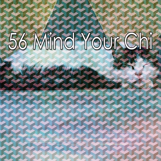 56 Mind Your Chi