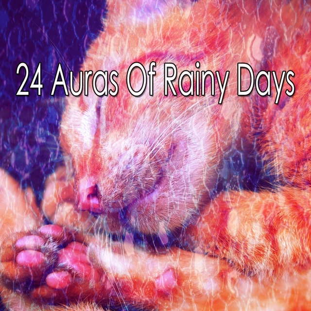 24 Auras of Rainy Days