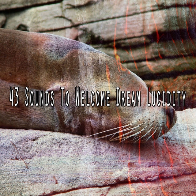 43 Sounds to Welcome Dream Lucidity