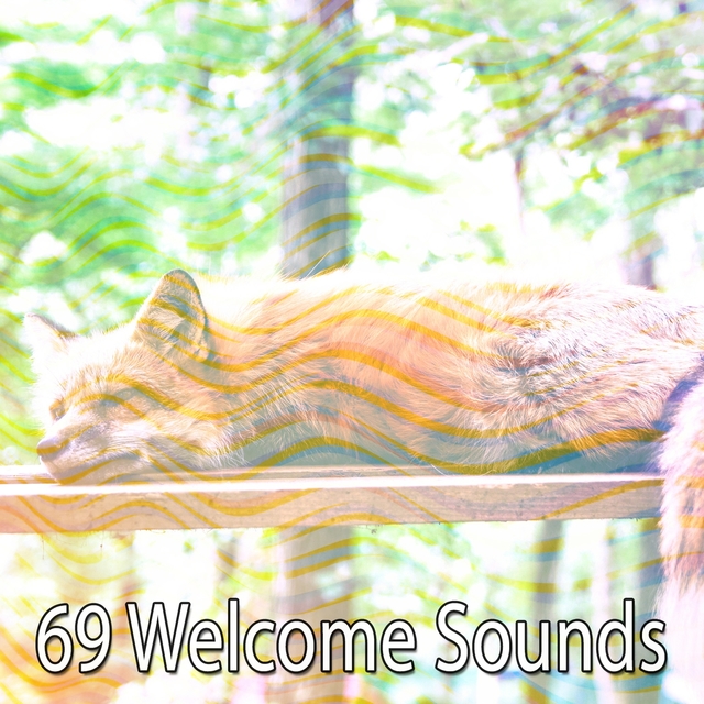 69 Welcome Sounds