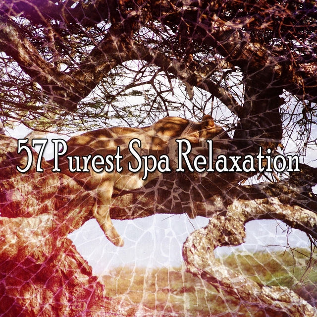 57 Purest Spa Relaxation